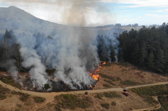 Broadcast burn at Mount Tamalpais State Park in September 2024.
